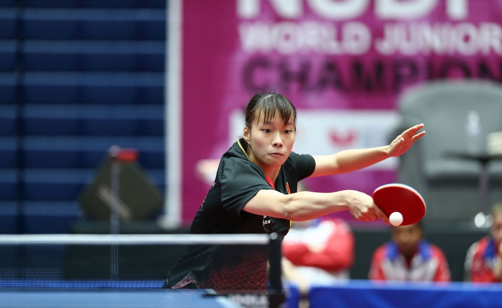 不乏年少成 不乏年少成